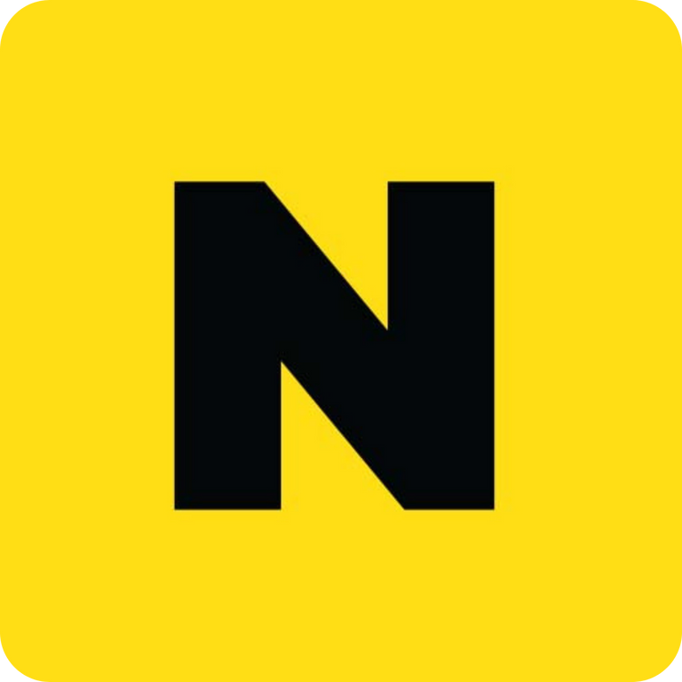 Nurflix Logo N
